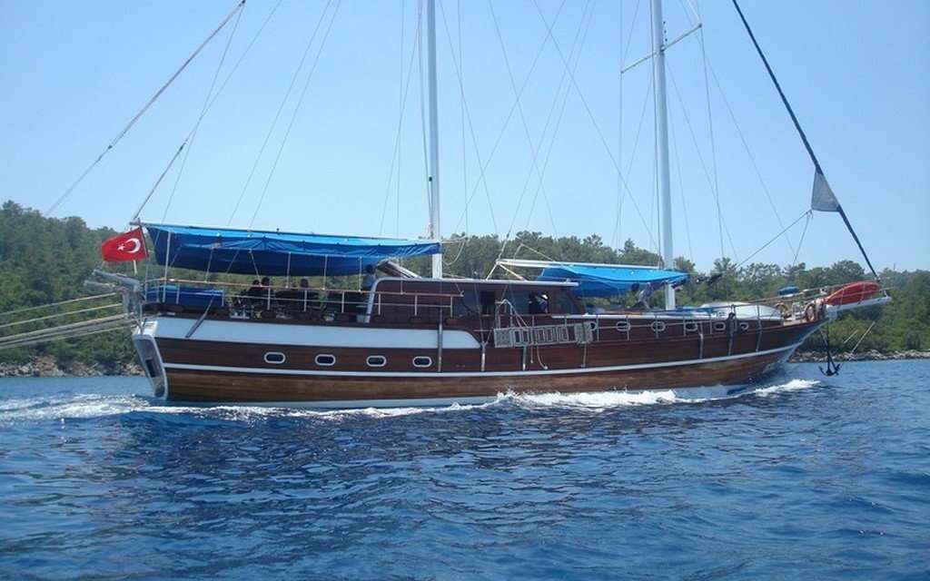 Gokce 1