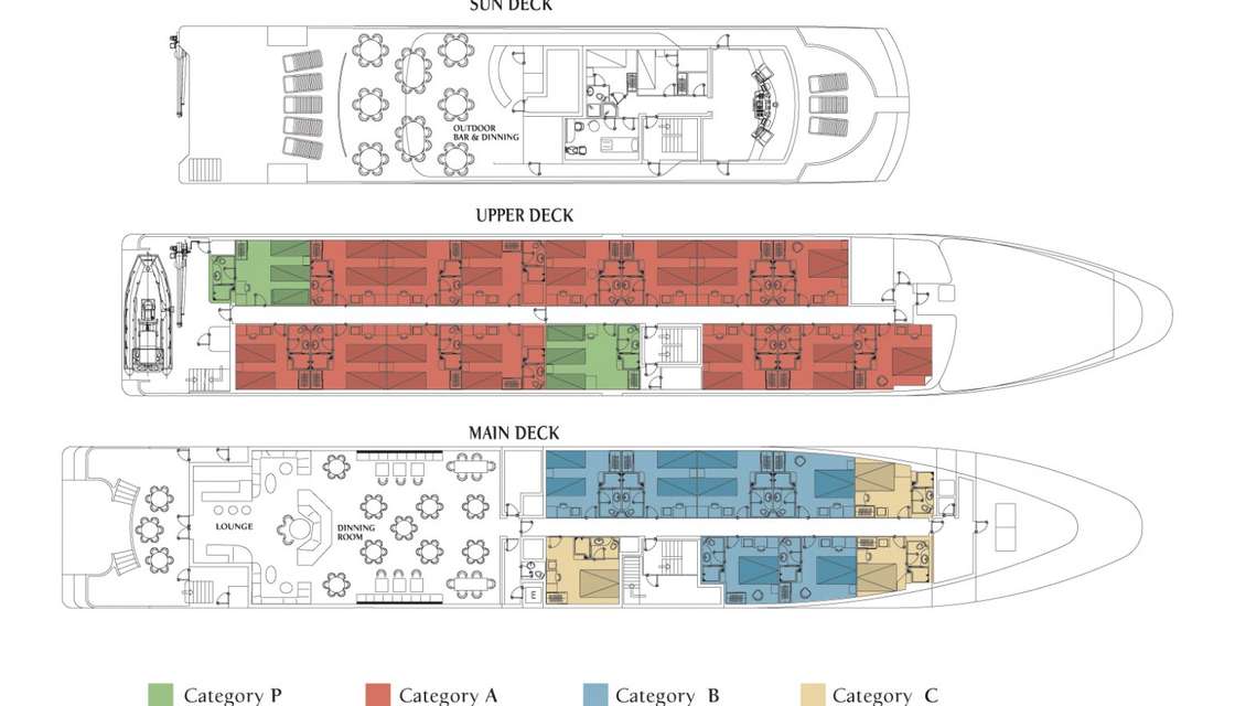 Distribución del barco Harmony V