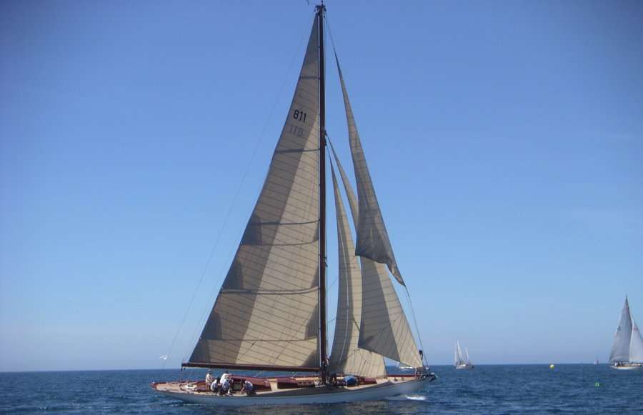Irina VII