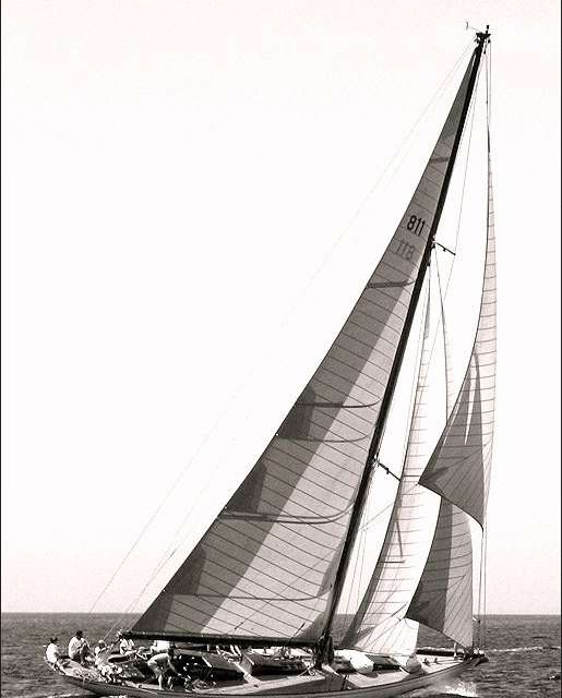 Irina VII