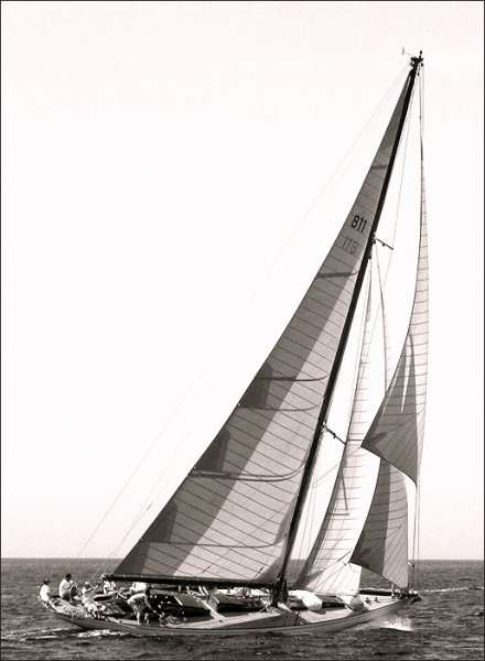 Irina VII