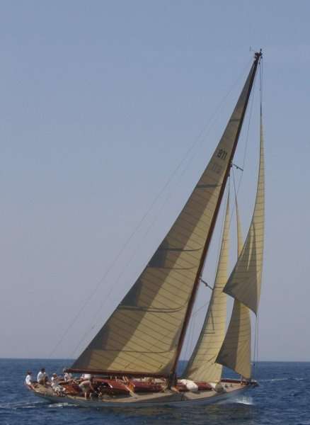 Irina VII
