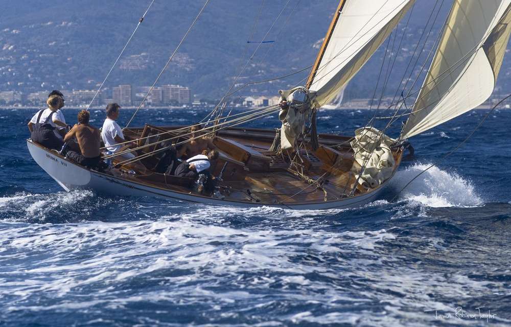 Irina VII