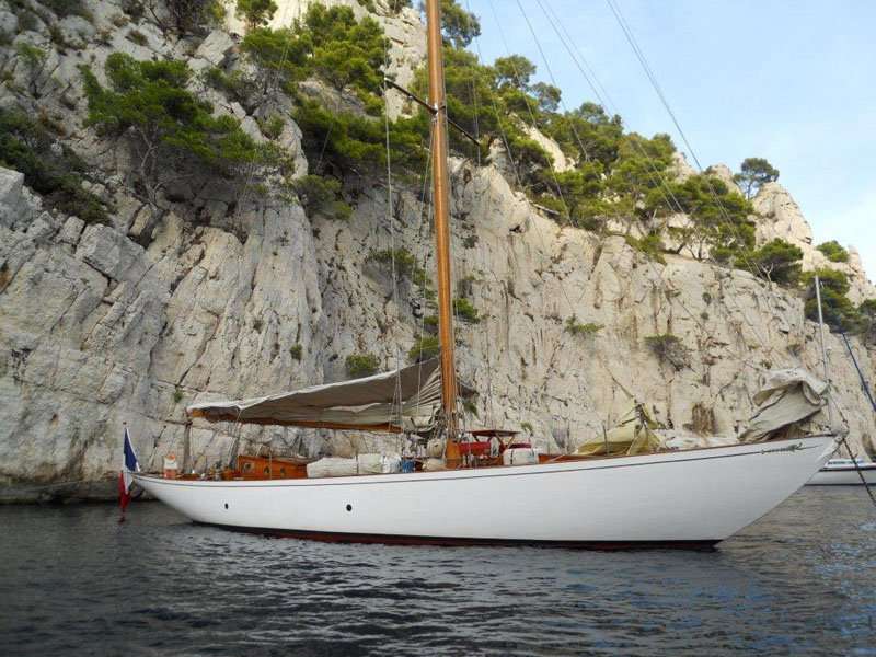 Irina VII