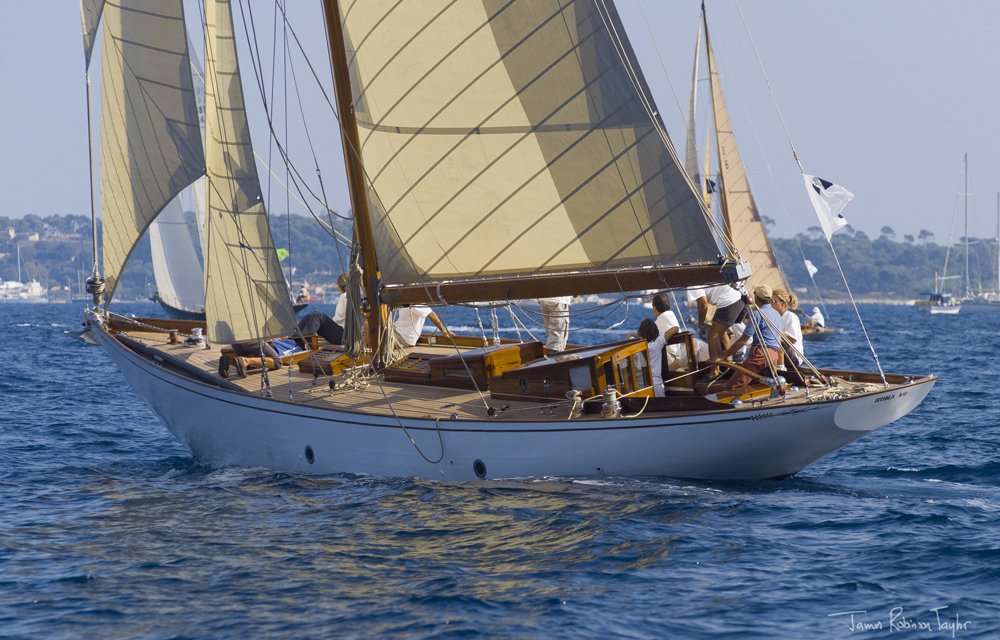 Irina VII