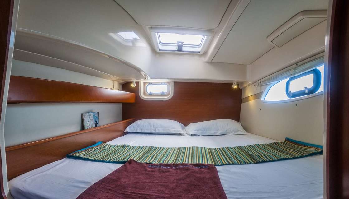 Leopard 38