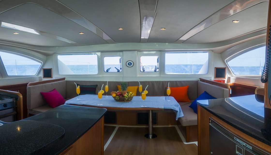 Leopard 38