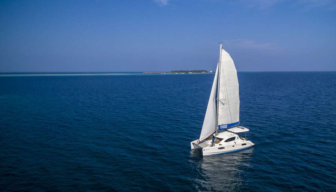 Leopard 38