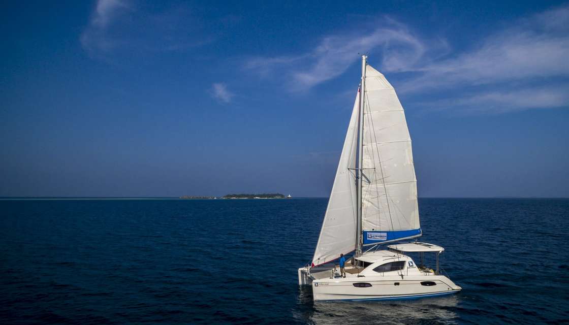 Leopard 38