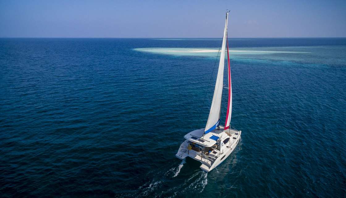 Leopard 38