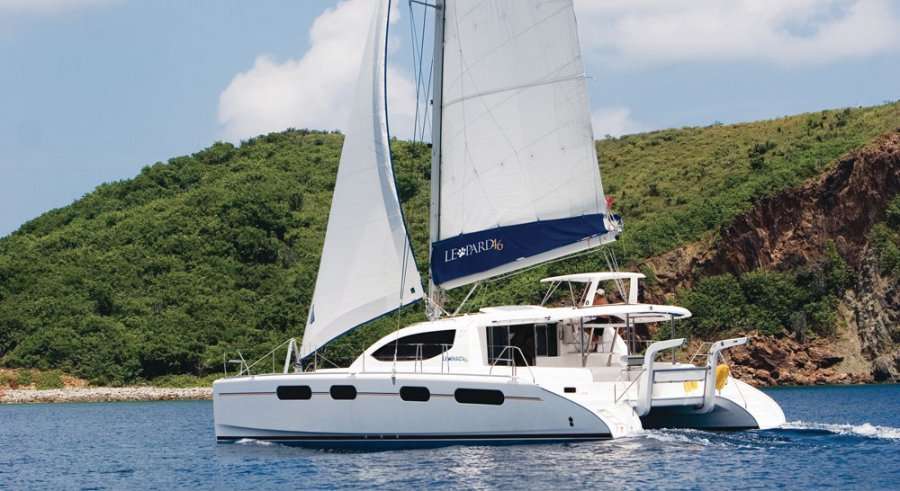 Leopard 46