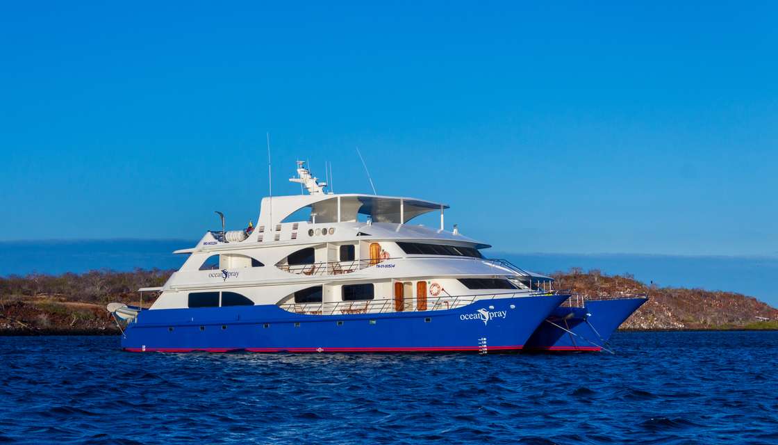 Ocean Spray Custom