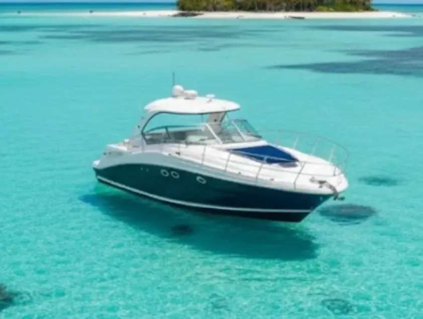 Sea Ray 455 Sundancer