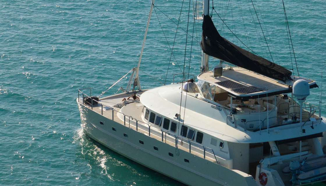 Suncoast 65