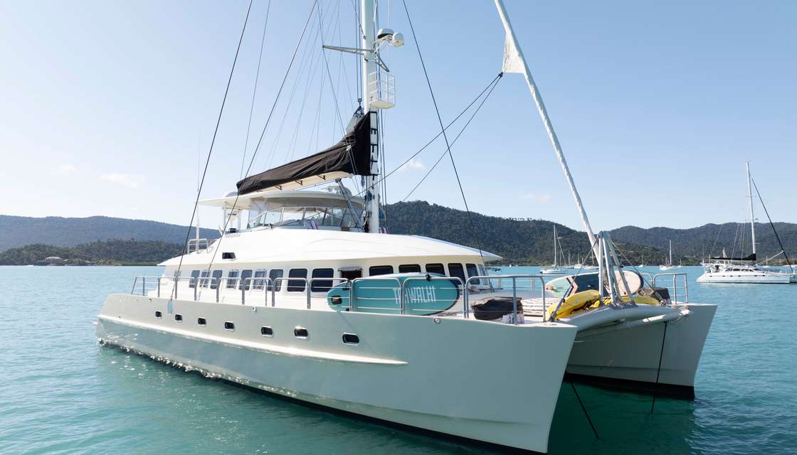 Suncoast 65