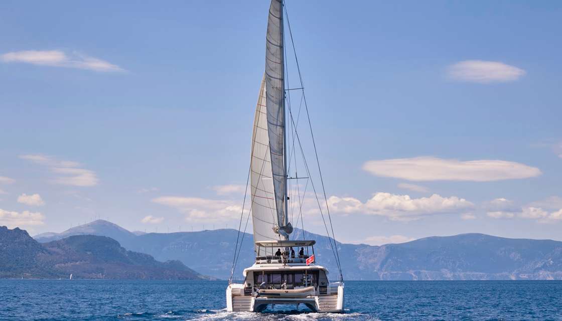 Alegria 67