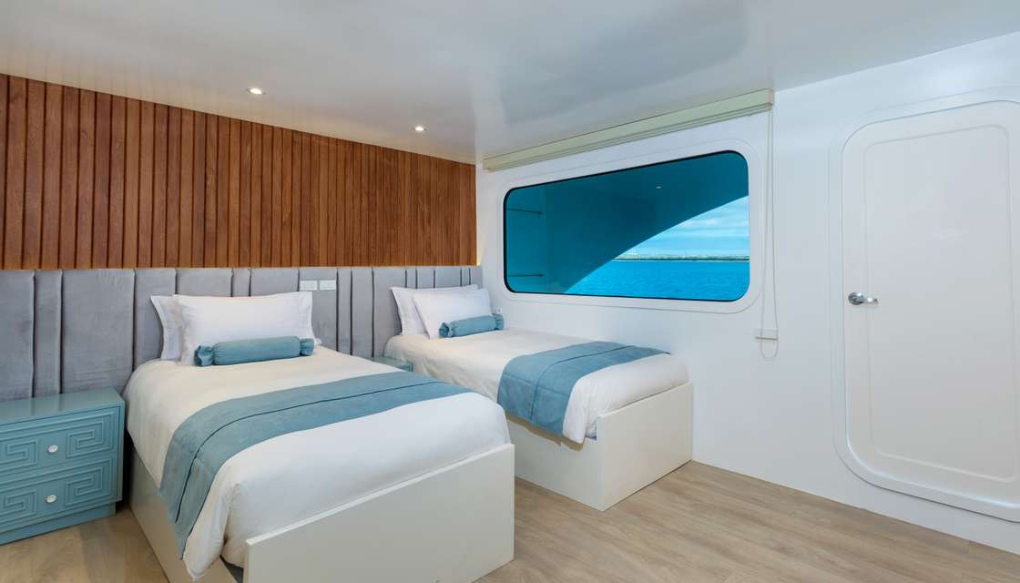 Ocean Spray Custom