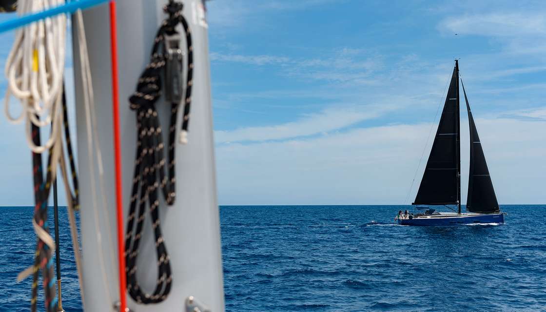 Solaris 55