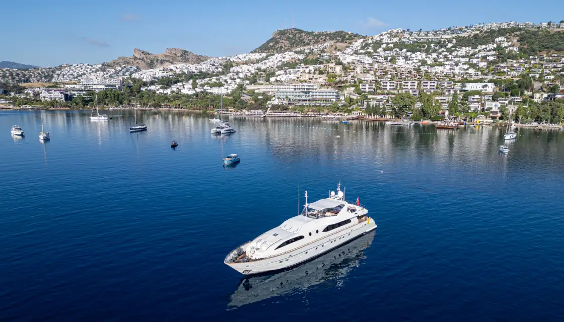 Falcon 115