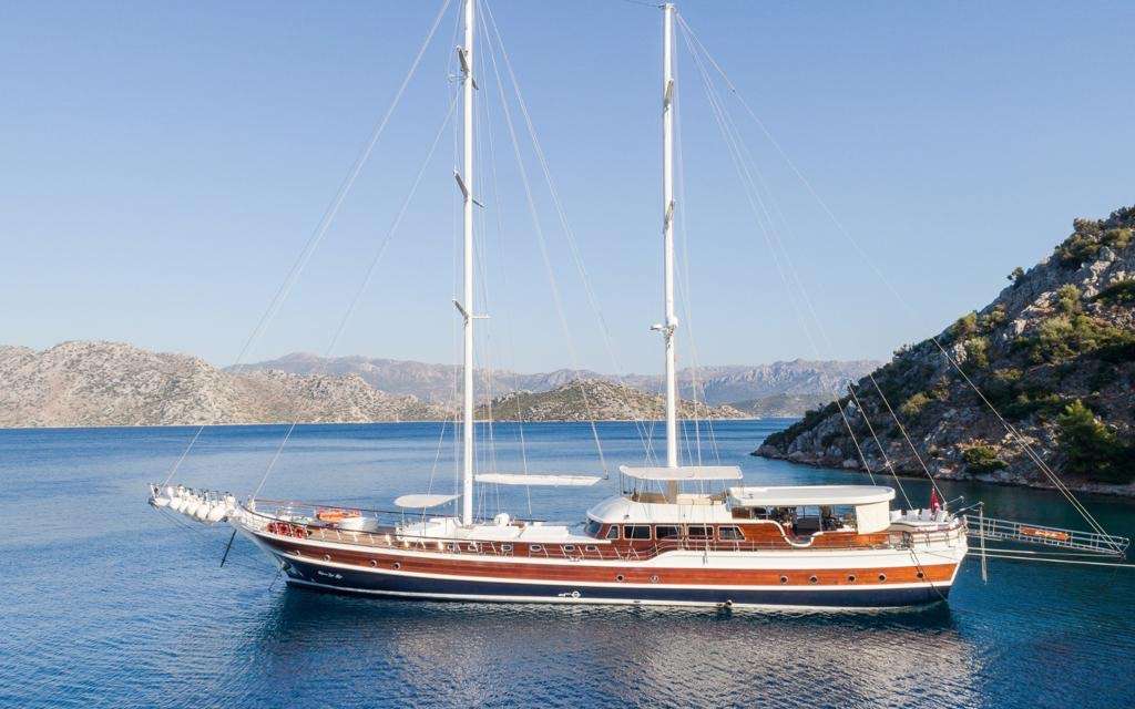HALCON DEL MARE