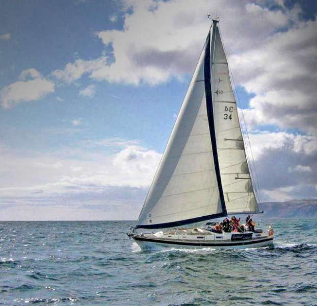 Sealord