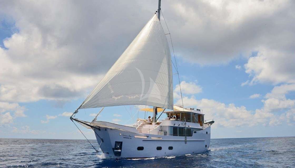 SONEVA IN AQUA