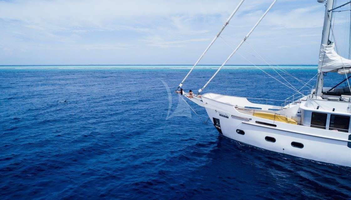 SONEVA IN AQUA
