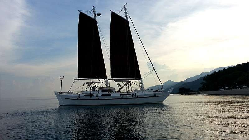 Tiki 46