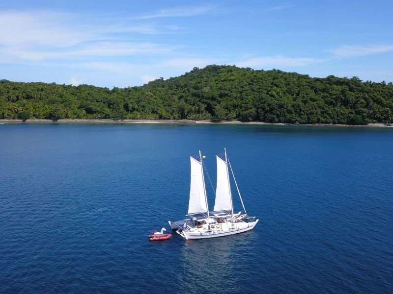 Tiki 46