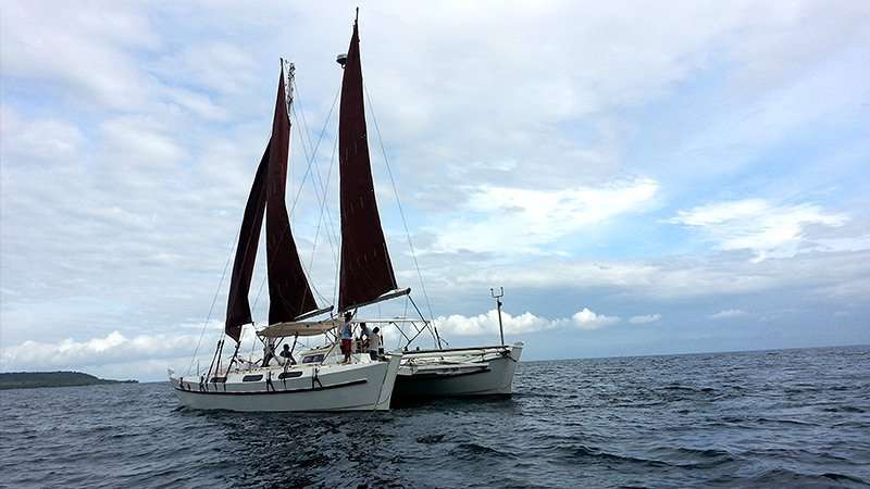 Tiki 46
