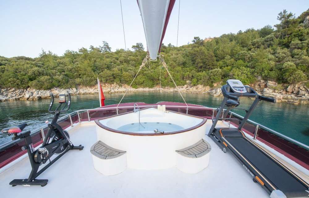 Vesta1Sevil