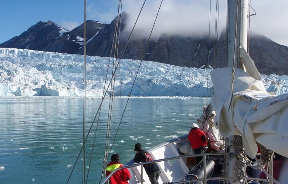 Suchen Sie die K&uuml;ste nach wilden Tieren ab