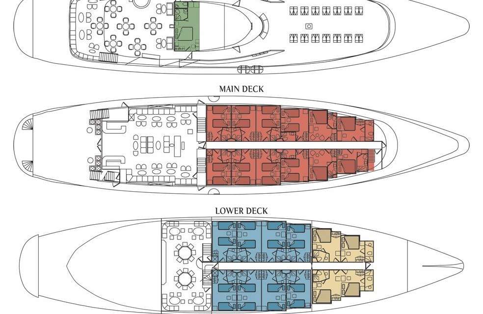 Layout