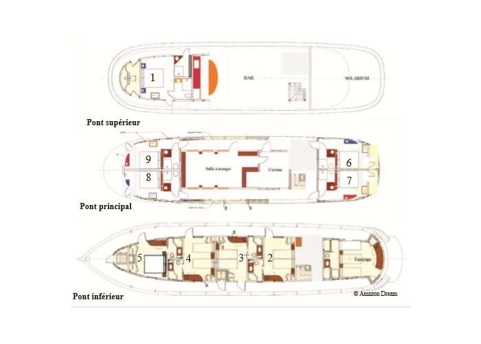 Layout