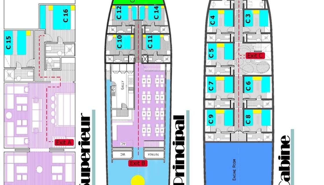 Layout