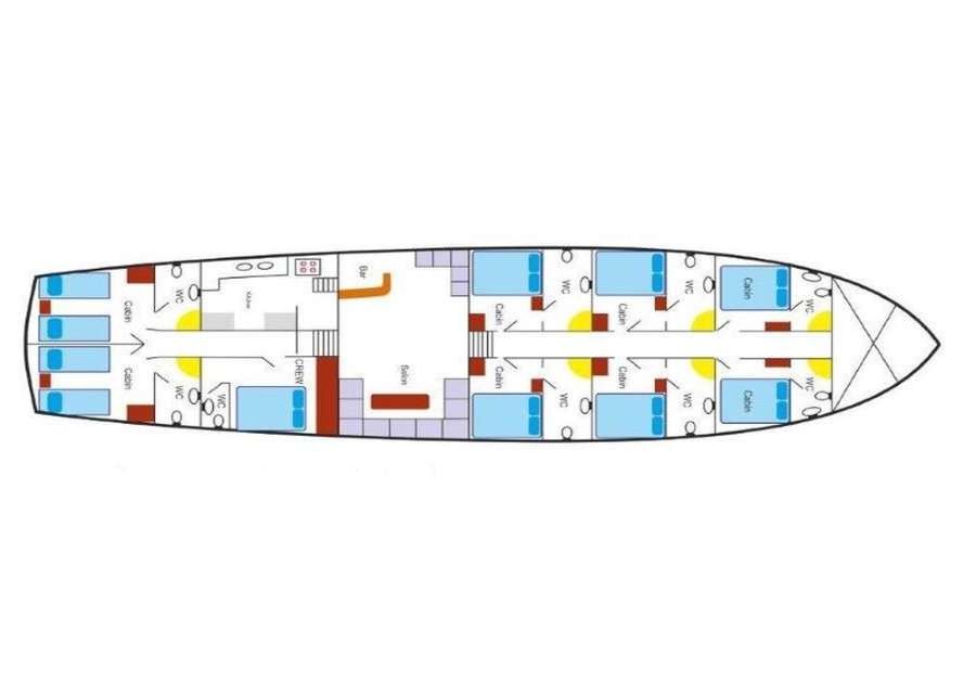 Layout