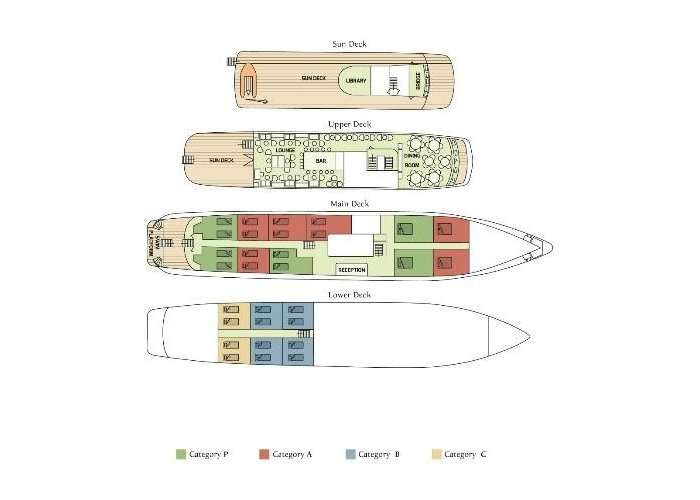 Layout