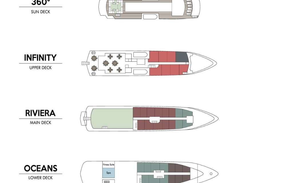 Layout