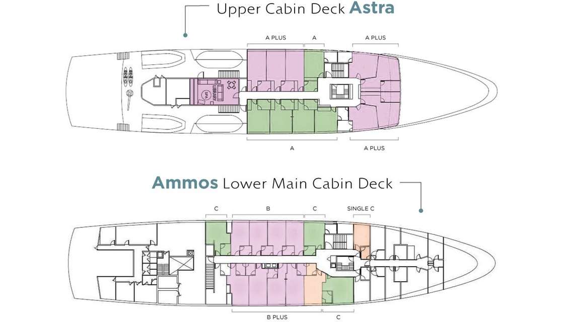 Layout