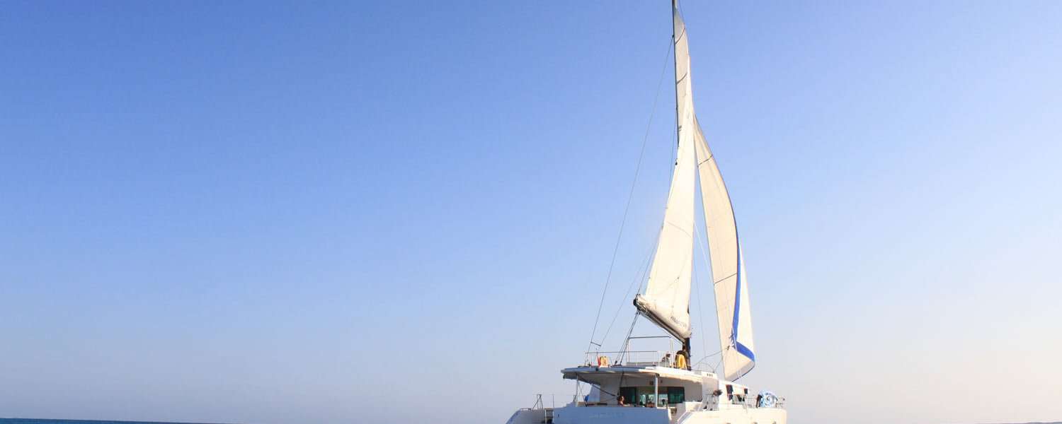 Catamarán Dream 60