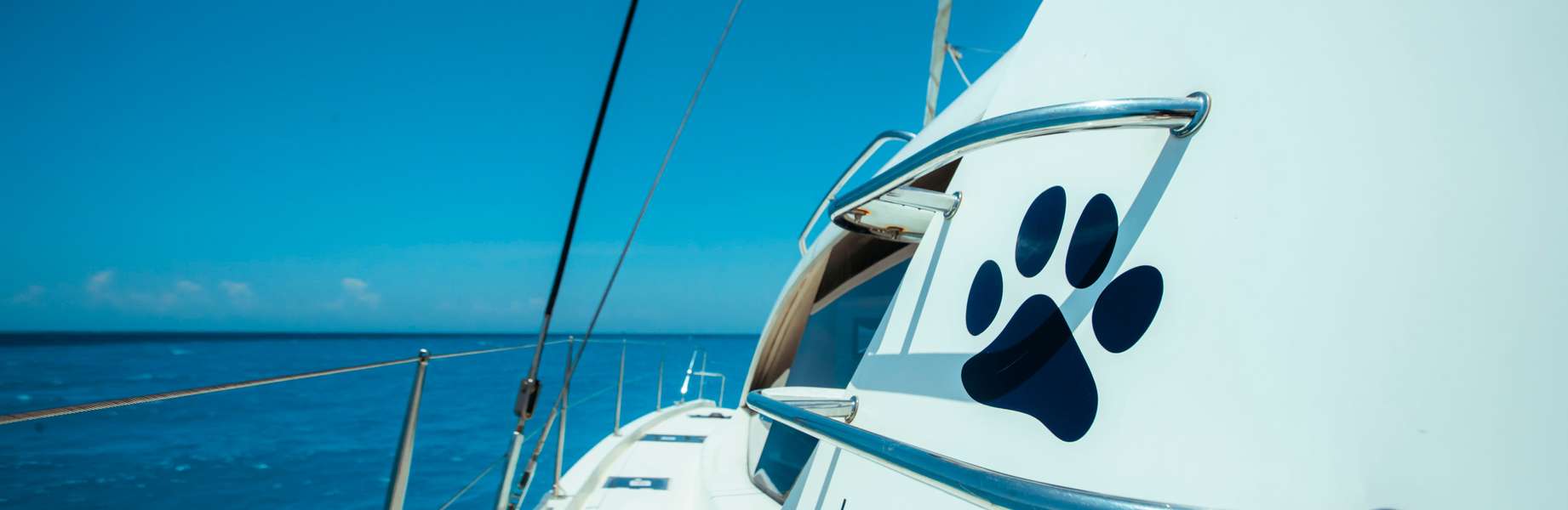 Catamaran Leopard 48