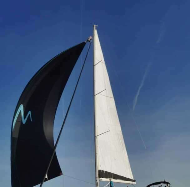 Sailboat More 55
