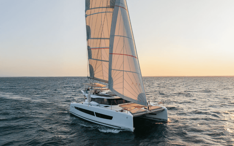 Catamaran New 41