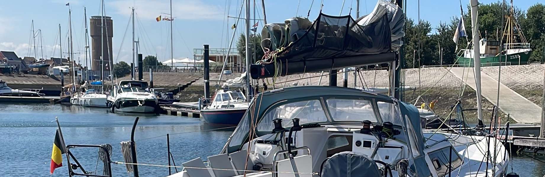 Sailboat Pogo 36