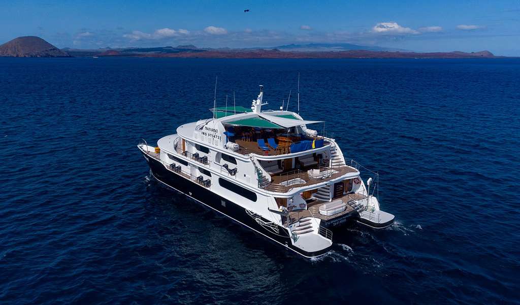 Catamarán a Motor Petrel Custom