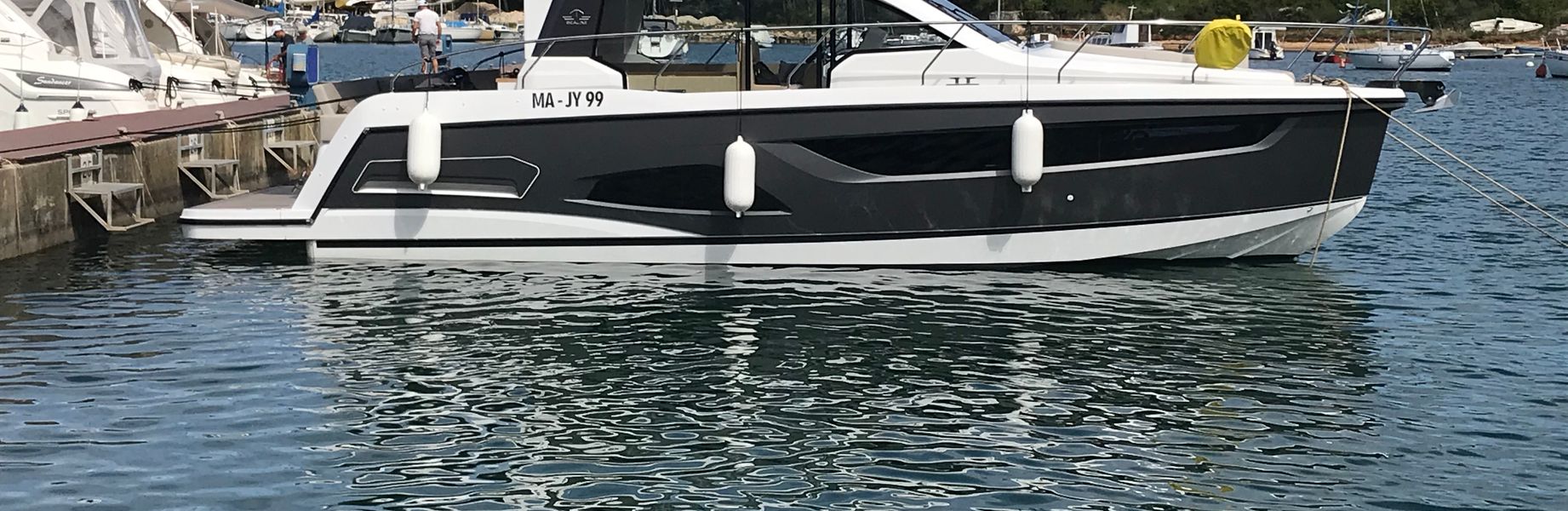Bateaux à moteur Sealine C390
