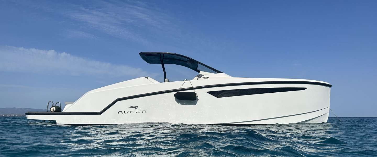 Motorkatamaran Aurea 30 Cabin