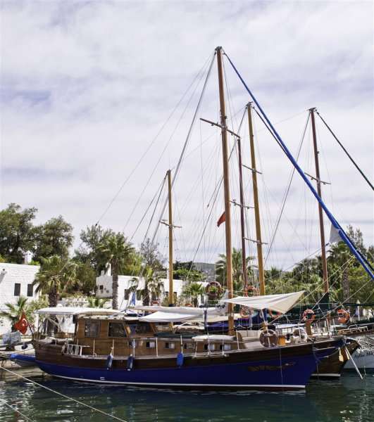 Goletta Bolero