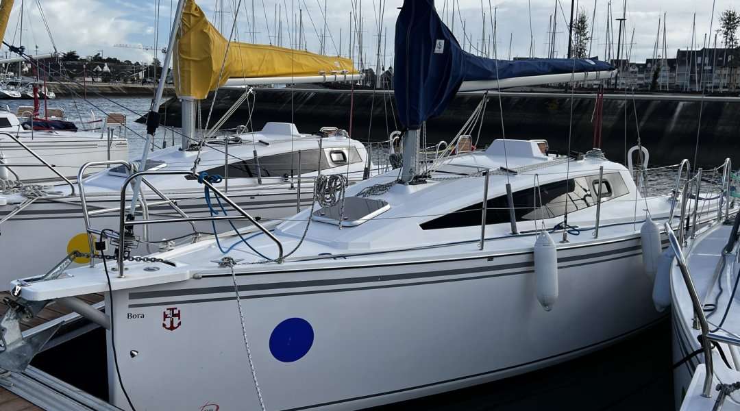 Velero Maxus 26