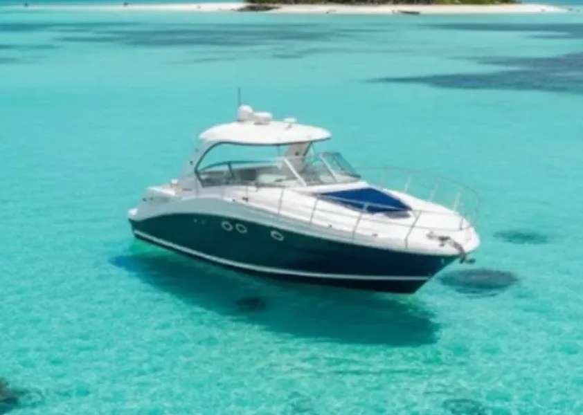 Bateaux à moteur Sea Ray 455 Sundancer